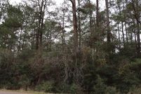 Undeveloped Land in Grimes County, Texas