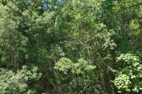 Land for sale in Georgetown County, South Carolina