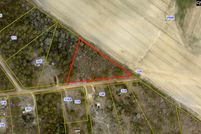 Undeveloped Land in Lexington County, South Carolina