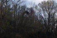 Land for sale in East Baton Rouge Parish, Louisiana