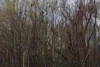 Land for sale in East Baton Rouge Parish, Louisiana