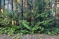 Undeveloped Land in Pierce County, Washington