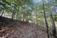 Undeveloped Land in Moore County, Tennessee