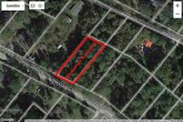 Undeveloped Land in Polk County, Texas