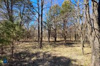 Undeveloped Land in Cooke County, Texas