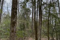 Undeveloped Land in Columbia County, Arkansas