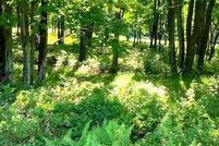 Undeveloped Land in Luzerne County, Pennsylvania