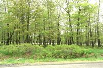 Undeveloped Land in Luzerne County, Pennsylvania