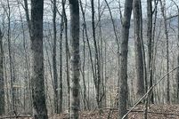 Undeveloped Land in Pulaski County, Kentucky