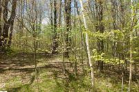Undeveloped Land in Osceola County, Michigan
