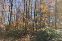Undeveloped Land in Orange County, Virginia