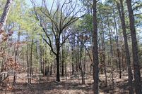 Undeveloped Land in Atoka County, Oklahoma