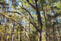 Undeveloped Land in Charleston County, South Carolina