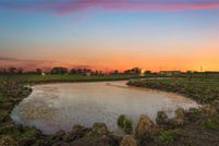 Undeveloped Land in Brazoria County, Texas