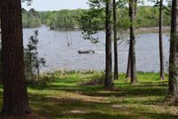 Undeveloped Land in Trinity County, Texas