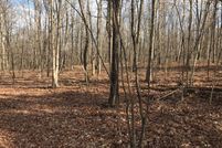Undeveloped Land in Sequatchie County, Tennessee