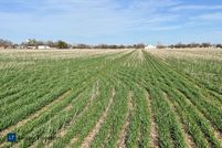 Undeveloped Land in Wilbarger County, Texas