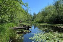 Undeveloped Land in Pierce County, Washington