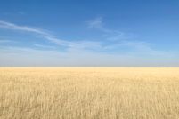 Land in Oldham County, Texas