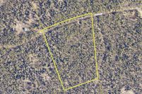 Undeveloped Land in Kenai Peninsula Borough, Alaska