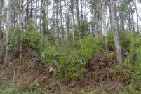 Land in Hawaii County, Hawaii