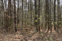 Undeveloped Land in Dorchester County, Maryland
