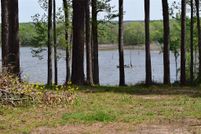 Undeveloped Land in Trinity County, Texas
