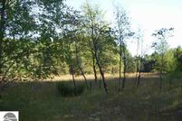 Undeveloped Land in Kalkaska County, Michigan