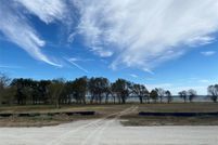 Undeveloped Land in Navarro County, Texas