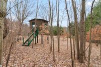 Undeveloped Land in Mecosta County, Michigan