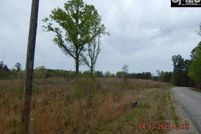 Undeveloped Land in Fairfield County, South Carolina