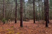 Land in Juneau County, Wisconsin