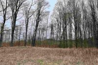 Undeveloped Land in Grand Traverse County, Michigan