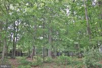 Undeveloped Land in Talbot County, Maryland
