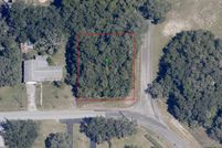 Undeveloped Land in Citrus County, Florida