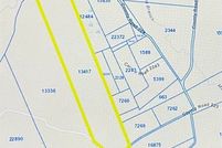 Undeveloped Land in Panola County, Texas