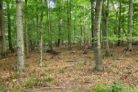 Undeveloped Land in Pike County, Pennsylvania