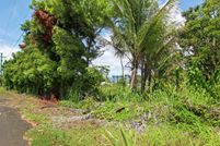 Undeveloped Land in Hawaii County, Hawaii