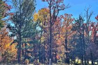 Undeveloped Land in Smith County, Texas