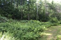 Undeveloped Land in Grafton County, New Hampshire