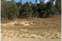 Land for sale in Citrus County, Florida