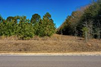 Undeveloped Land in Marion County, South Carolina
