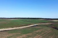 Undeveloped Land in Lewis County, Idaho