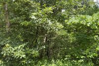 Farm and Ranch for sale in Polk County, Tennessee