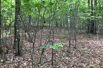 Land in Sequatchie County, Tennessee