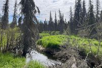 Undeveloped Land in Kenai Peninsula Borough, Alaska