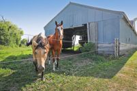 Land in Mower County, Minnesota