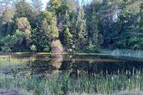 Homesite in Nevada County, California
