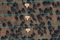Land for sale in Navajo County, Arizona