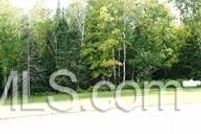 Land for sale in Iron County, Michigan